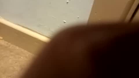 j434934 online show from 01-05-26, 07:28