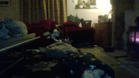 Snapshot of j4ckcock chatting on 01-01-25, 12:43 J4ckcock online show from 01-01-25, 12:43