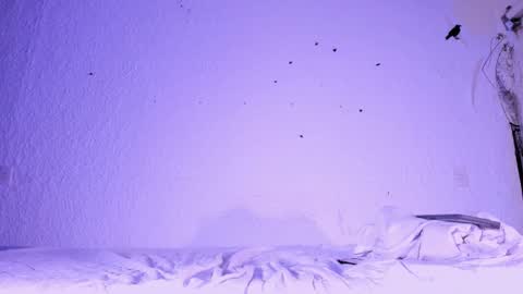 j_martony online show from 11-05-25, 02:17