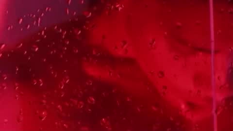 i am juan musiry independent model  online show from 11-22-25, 12:04