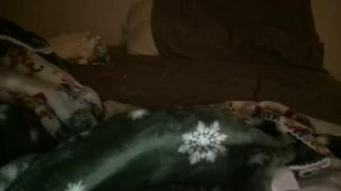 j_reyes24 online show from 01-23-25, 06:45