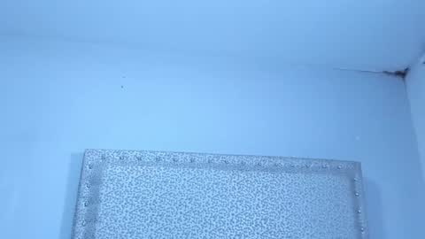 Snapshot of jackblanco_ chatting on 01-25-25, 04:02 Jack White online show from 01-25-25, 04:02