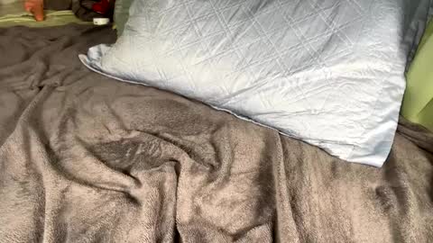 jacksbunnys online show from 01-14-25, 11:10