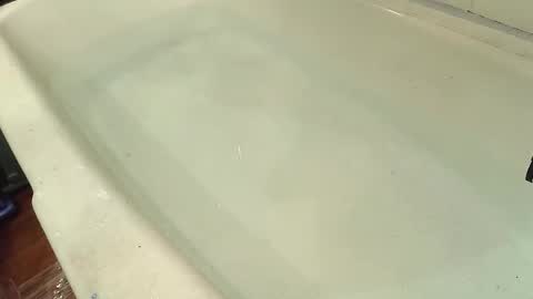 Bootyshows online show from 10-29-25, 07:59