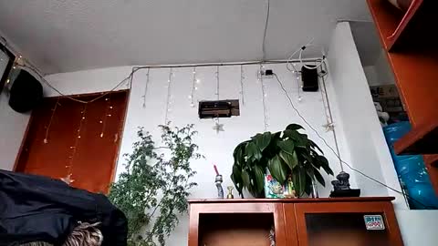 janariivera1 online show from 02-11-26, 02:44