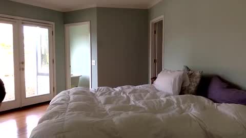 janicepepper online show from 01-04-25, 09:52