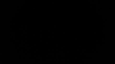 jasmine_star12 online show from 01-12-26, 07:30