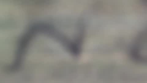 Snapshot of jason2019845210 chatting on 10-29-25, 11:50 jason2019845210 online show from 10-29-25, 11:50