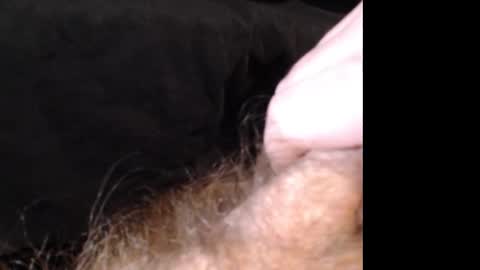 Snapshot of jasoncummings chatting on 12-14-24, 02:53 Jason online show from 12-14-24, 02:53