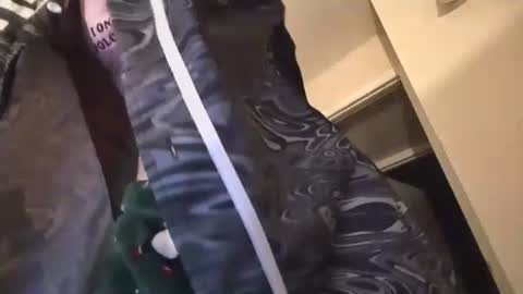 jasper1thewhor3 online show from 10-25-25, 05:04