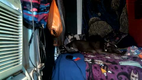 Snapshot of jax_skyfallin chatting on 02-25-25, 04:46 jaxxx666 online show from 02-25-25, 04:46