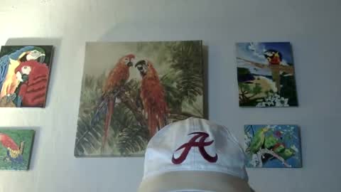 jay-jay1475 online show from 03-12-25, 09:45