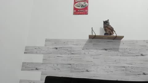 Jaycreedd online show from 02-20-25, 04:39