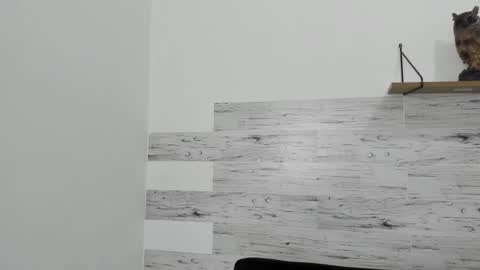 Jaycreedd online show from 02-22-25, 06:28