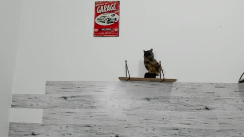 Jaycreedd online show from 03-07-25, 04:46