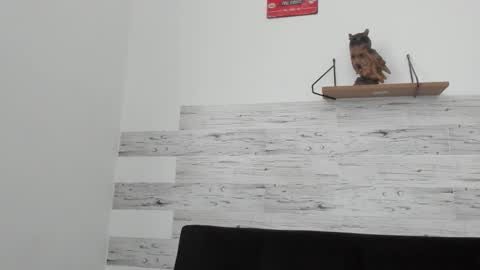 Jaycreedd online show from 09-22-25, 01:46