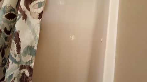 jaywulf22 online show from 11-04-25, 04:33