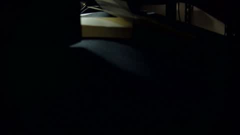 Snapshot of jbvgjjj chatting on 03-01-25, 10:24 dookie online show from 03-01-25, 10:24