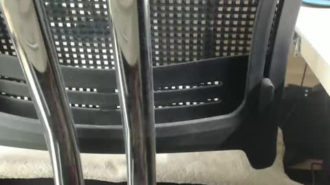 Snapshot of jc200000 chatting on 02-17-25, 06:37 jc200000 online show from 02-17-25, 06:37