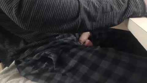 Snapshot of jc200000 chatting on 11-03-25, 06:31 jc200000 online show from 11-03-25, 06:31