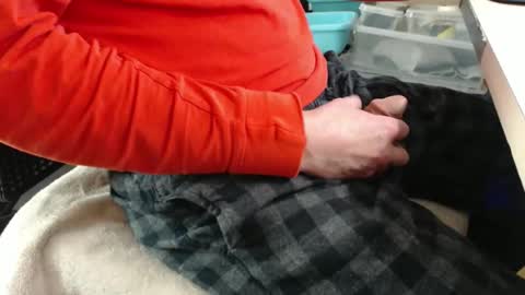 Snapshot of jc200000 chatting on 12-17-25, 09:54 jc200000 online show from 12-17-25, 09:54