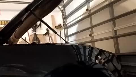 Snapshot of jcmack4life chatting on 09-20-25, 07:31 jcmack4life online show from 09-20-25, 07:31