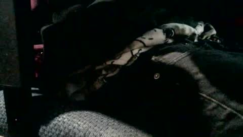 Snapshot of jebblynch42 chatting on 02-19-26, 04:47 JJ Banks online show from 02-19-26, 04:47