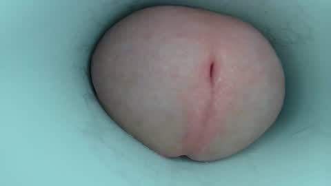 jeffrodgerschaturbat online show from 02-23-26, 06:11