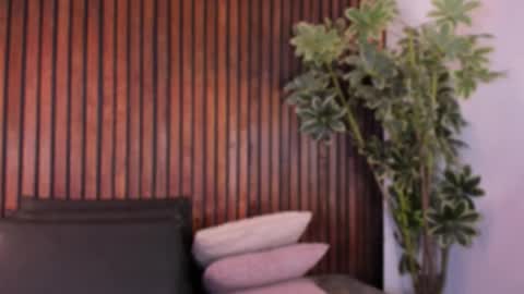     online show from 11-06-25, 12:17