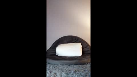 Jenny Star online show from 02-08-26, 05:05