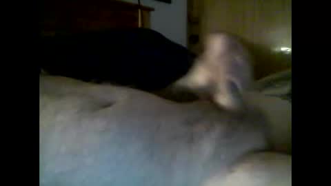 jerkmate6666 online show from 12-04-25, 10:29