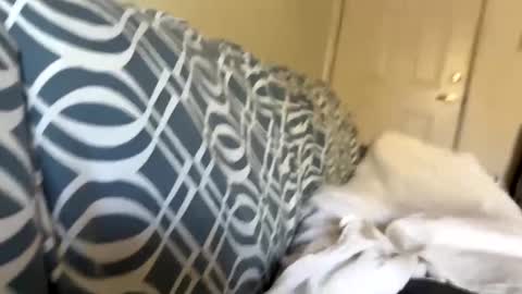 Snapshot of jerkstar16 chatting on 12-05-24, 06:00 Jerkstar16 online show from 12-05-24, 06:00