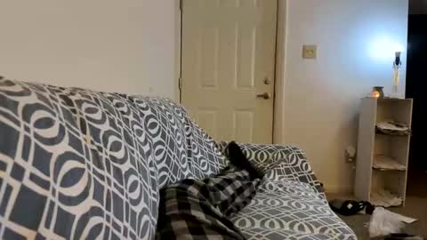 Snapshot of jerkstar16 chatting on 02-18-25, 05:20 Jerkstar16 online show from 02-18-25, 05:20