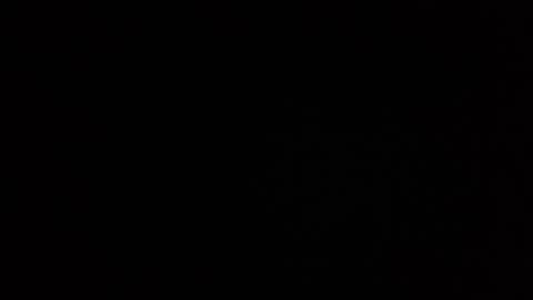 roee online show from 12-28-24, 10:47