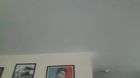 Harry online show from 12-28-24, 09:31