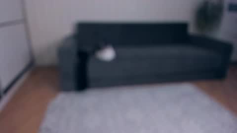 NEW VIDEO IN BIO online show from 11-25-25, 07:52