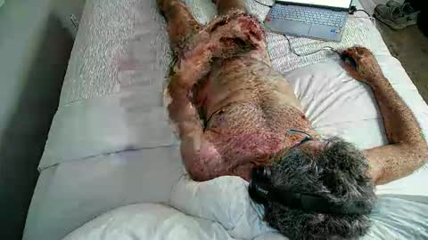 jimjimjim2633 online show from 04-02-26, 12:52