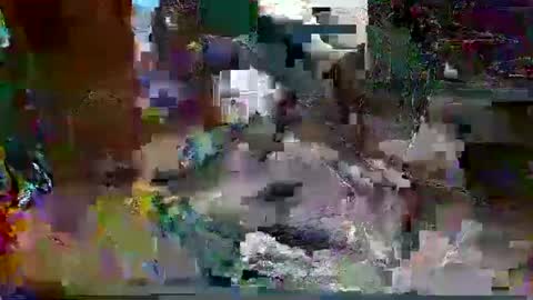 jimm83323458 online show from 10-20-25, 02:23