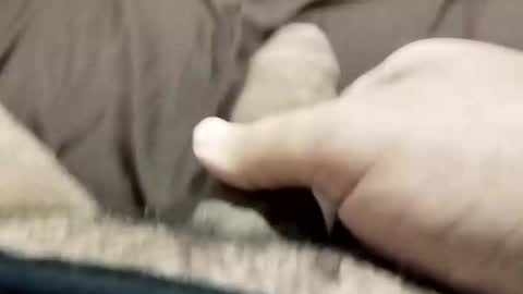 Snapshot of jj3377 chatting on 10-26-25, 06:08 jj3377 online show from 10-26-25, 06:08