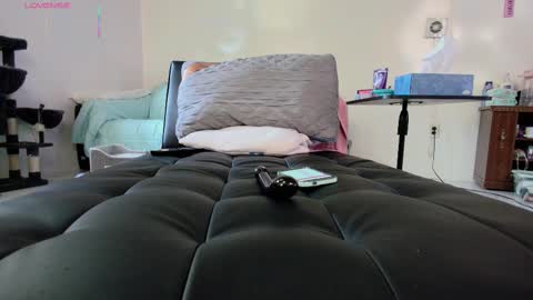 Snapshot of jjjust4fun1985 chatting on 09-18-25, 10:01 Nicole Allen online show from 09-18-25, 10:01