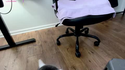 Snapshot of jjjust4fun1985 chatting on 12-03-25, 09:02 Nicole Allen online show from 12-03-25, 09:02