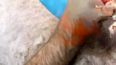 Snapshot of jkriss4545 chatting on 09-27-25, 06:24 Jkriss online show from 09-27-25, 06:24