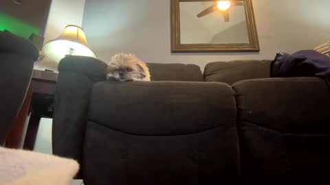 Snapshot of jlovindemsm chatting on 01-21-25, 11:02 Jimmy online show from 01-21-25, 11:02