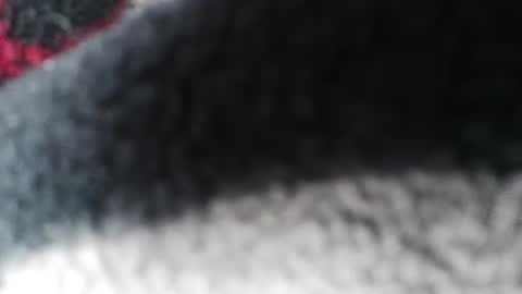 Snapshot of jlovindemsm chatting on 02-23-25, 05:56 Jimmy online show from 02-23-25, 05:56