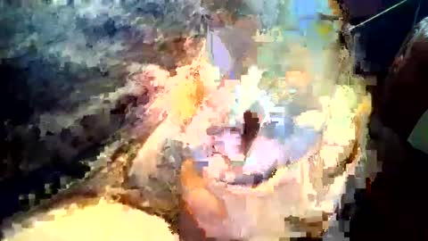 joedunbar61 online show from 09-17-25, 12:12