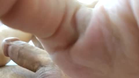 johnnnn2331 online show from 11-18-25, 02:17