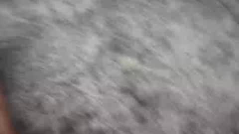 Snapshot of johnnyfitt chatting on 12-21-24, 01:58 Johnny online show from 12-21-24, 01:58