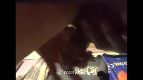 Snapshot of johnnyshung1 chatting on 12-13-24, 07:47 johnnyshung1 online show from 12-13-24, 07:47