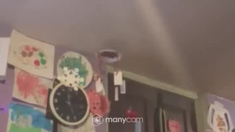 Snapshot of johnnyshung1 chatting on 12-16-24, 09:57 johnnyshung1 online show from 12-16-24, 09:57