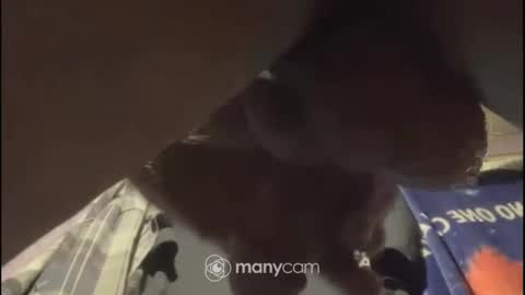 Snapshot of johnnyshung1 chatting on 02-02-25, 01:08 johnnyshung1 online show from 02-02-25, 01:08